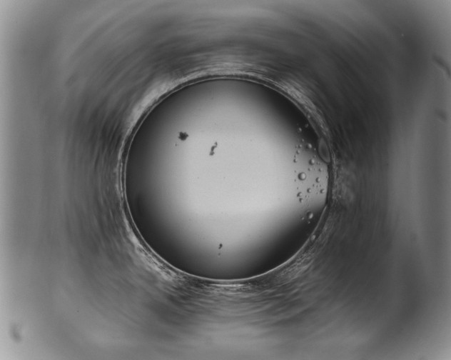 X0000102471342200808081241