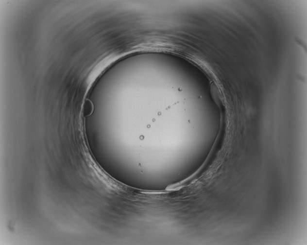 X0000102471344200808081241