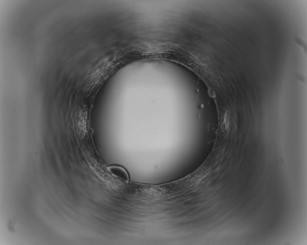 X0000102471348200808081240
