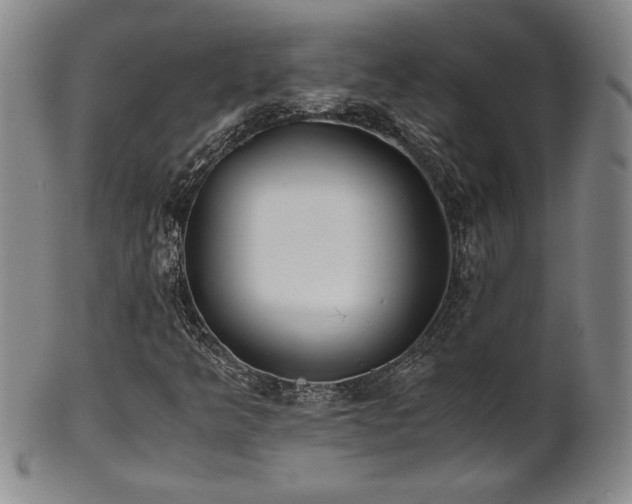 X0000102471349200808081240