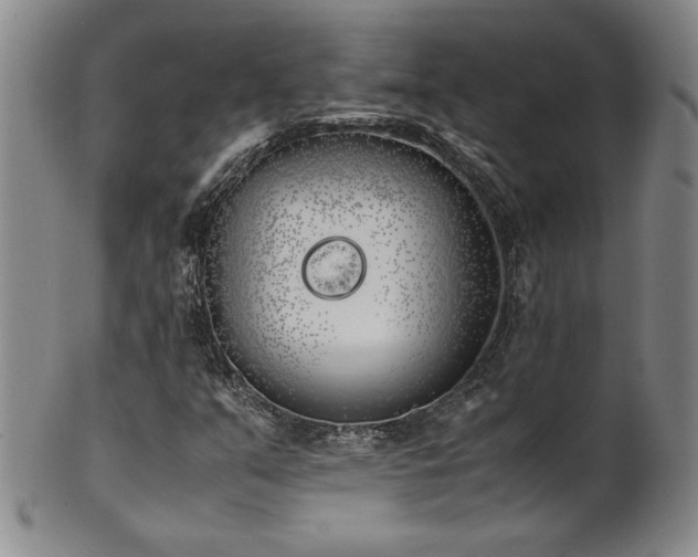X0000102471351200808081240