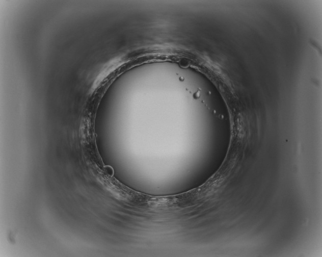 X0000102471352200808081240