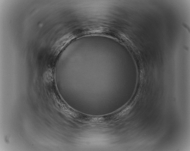 X0000102471353200808081240