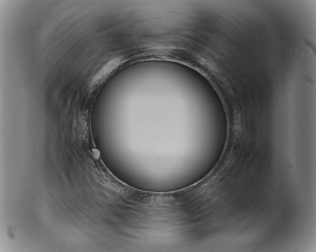 X0000102471354200808081240