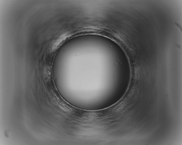 X0000102471355200808081240