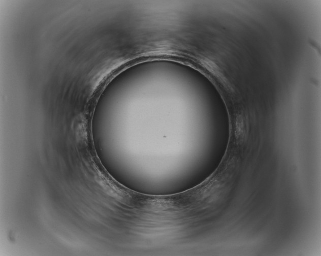 X0000102471356200808081240