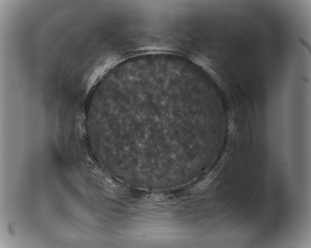 X0000102471357200808081240