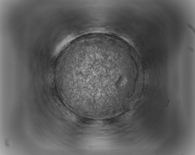 X0000102471359200808081240