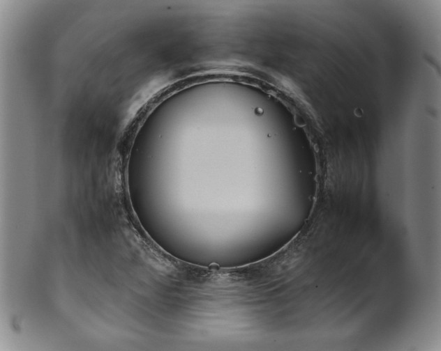 X0000102471360200808081240