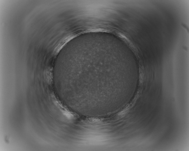 X0000102471361200808081240