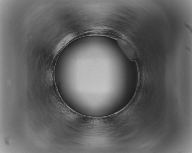X0000102471362200808081240
