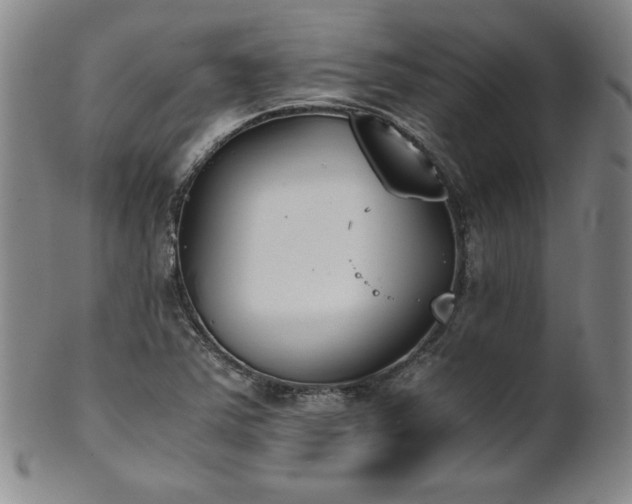 X0000102471363200808081240
