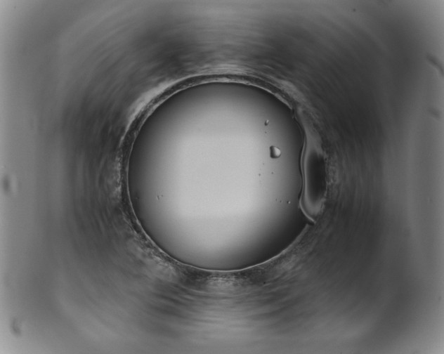 X0000102471364200808081240