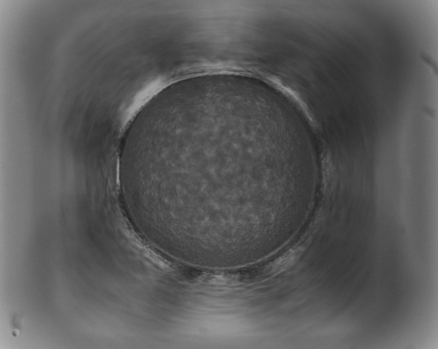 X0000102471365200808081240