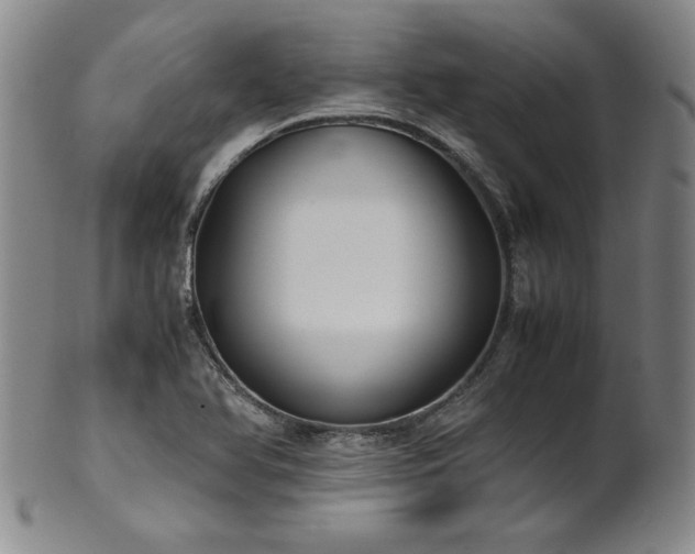 X0000102471366200808081240