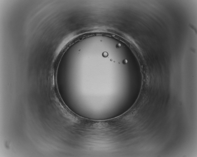 X0000102471368200808081240