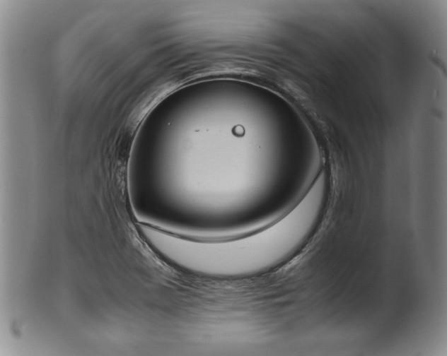 X0000102471369200808081240