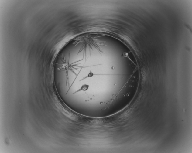 X0000102471371200808081240