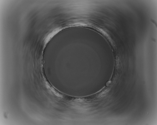X0000102471373200808081240