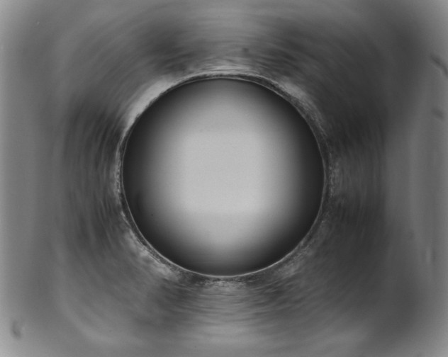 X0000102471374200808081240