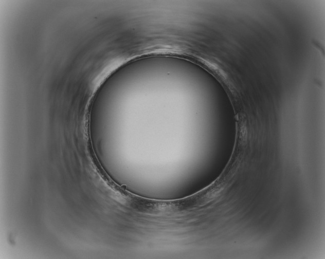 X0000102471375200808081240