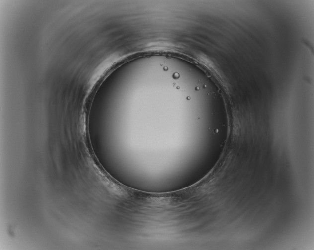 X0000102471376200808081240