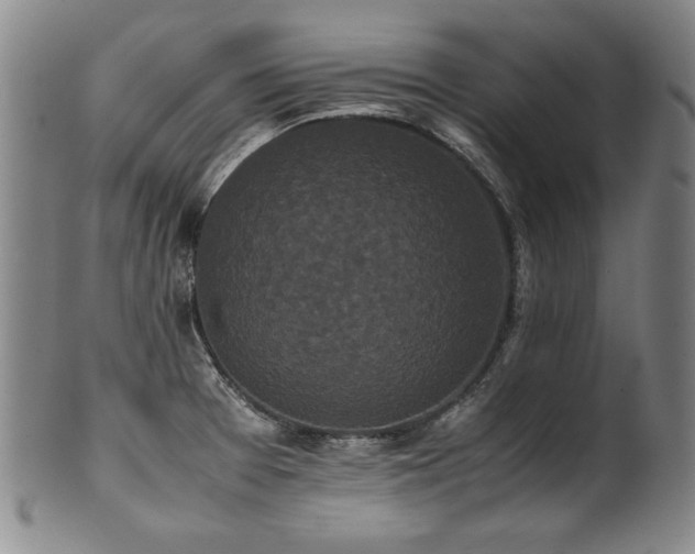 X0000102471377200808081240