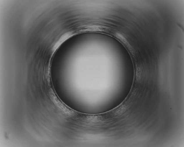 X0000102471378200808081240