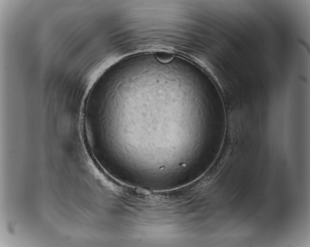 X0000102471379200808081240
