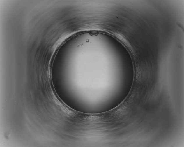 X0000102471380200808081240