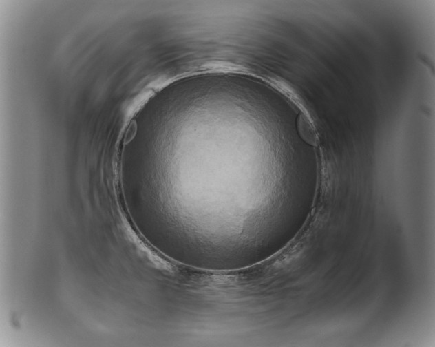 X0000102471381200808081240
