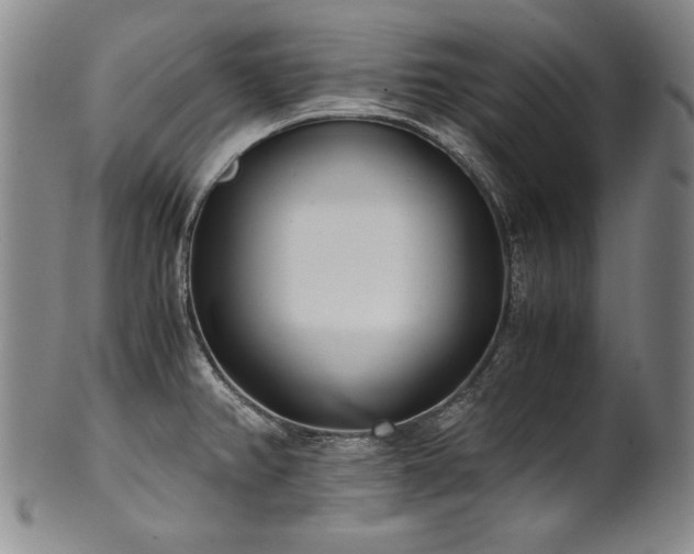 X0000102471382200808081240