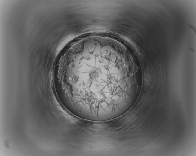 X0000102471383200808081240
