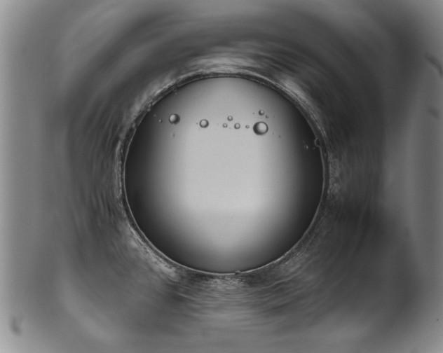 X0000102471384200808081240
