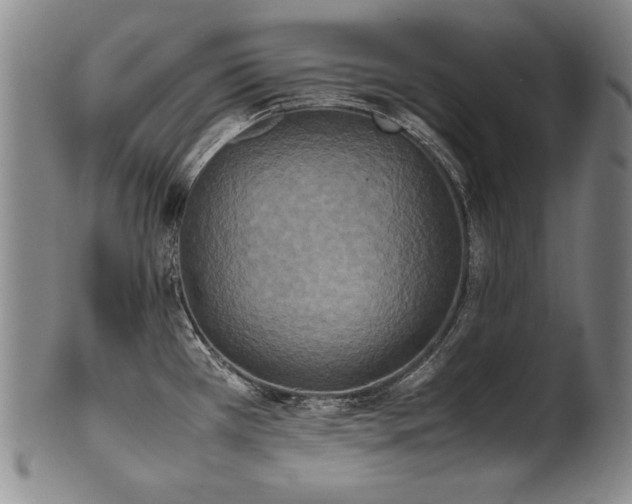X0000102471385200808081240
