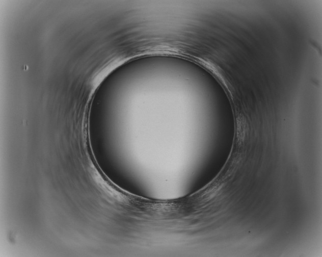 X0000102471387200808081240