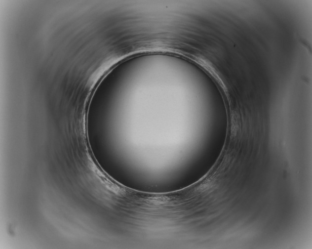 X0000102471388200808081240