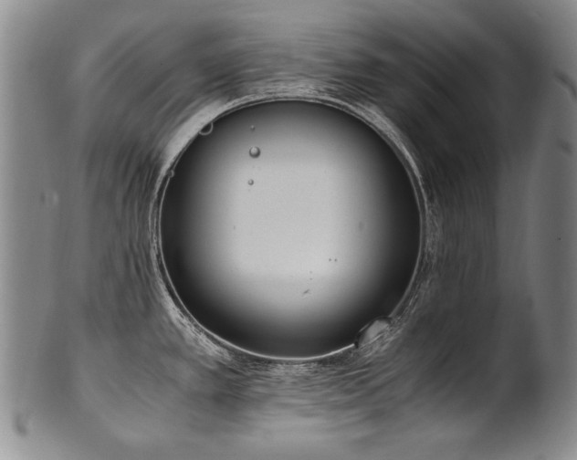 X0000102471389200808081240