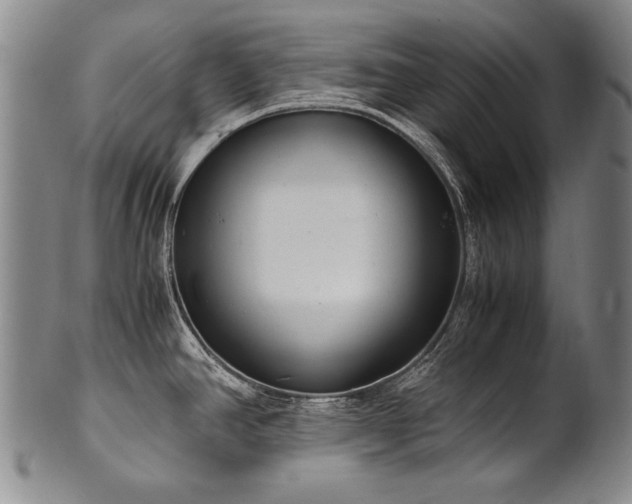 X0000102471390200808081240