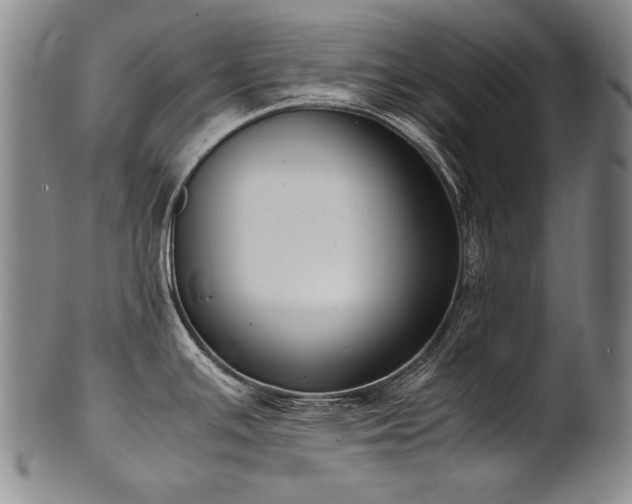 X0000102471391200808081240