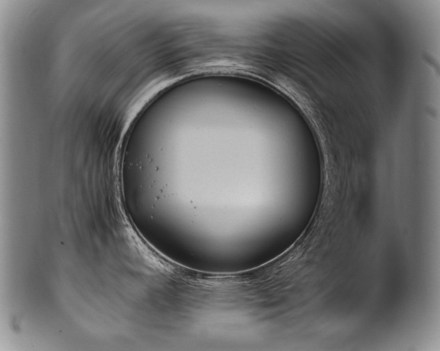 X0000102471392200808081240