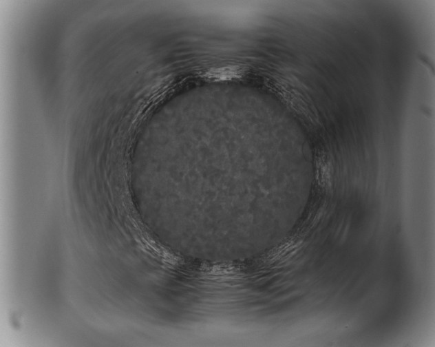 X0000102471393200808081239