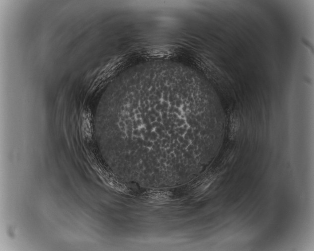 X0000102471394200808081239