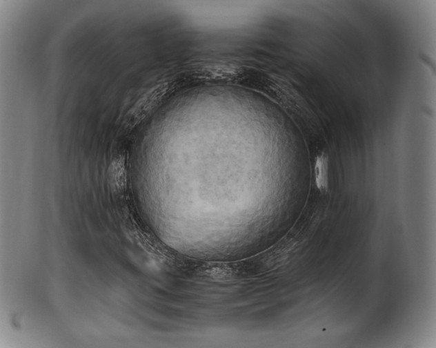 X0000102471395200808081239