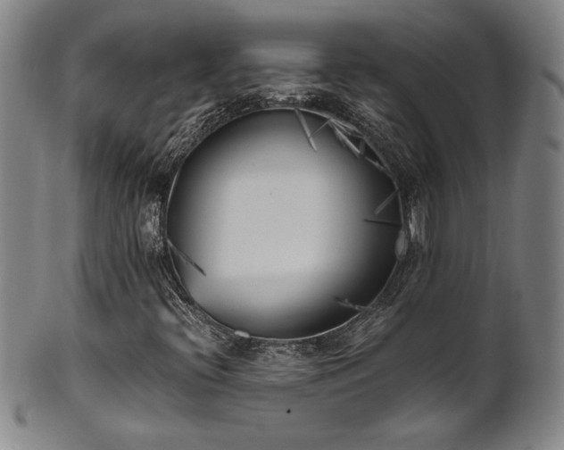 X0000102471396200808081239