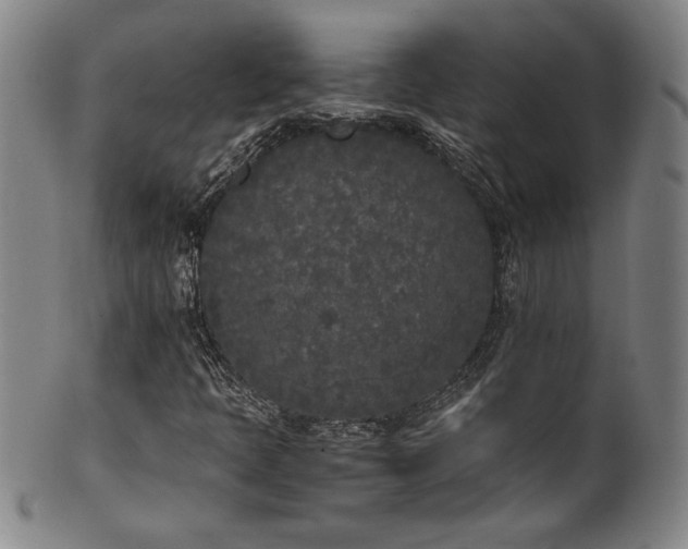 X0000102471397200808081239