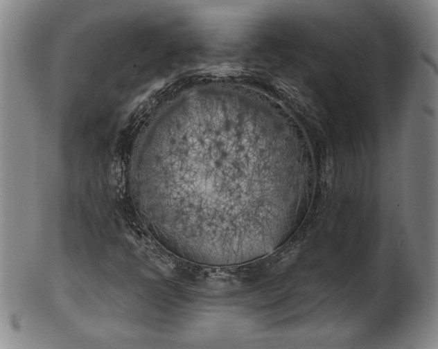 X0000102471398200808081239