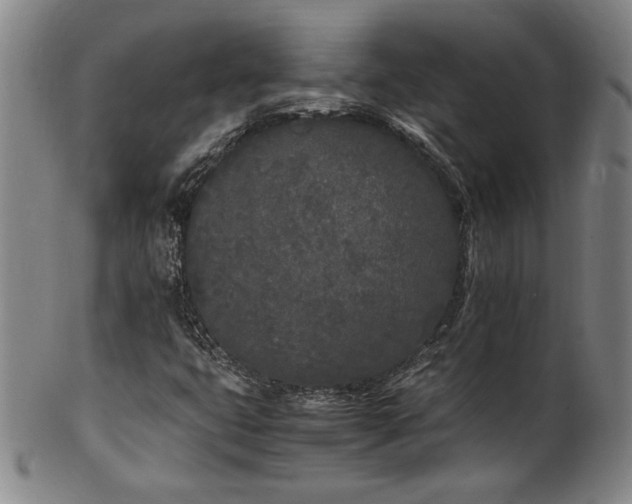 X0000102471399200808081239