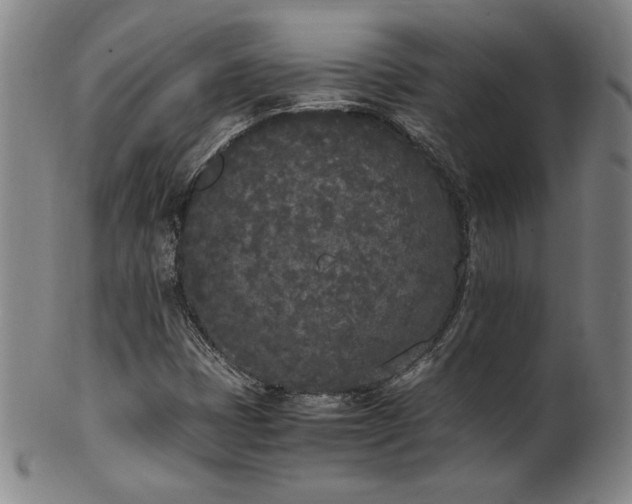 X0000102471401200808081239