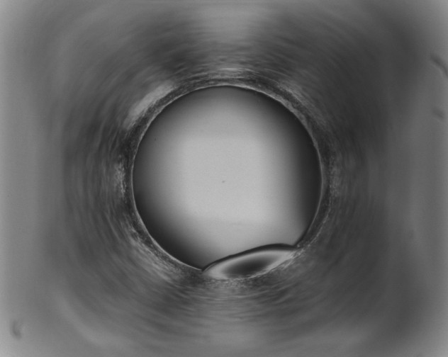 X0000102471402200808081239